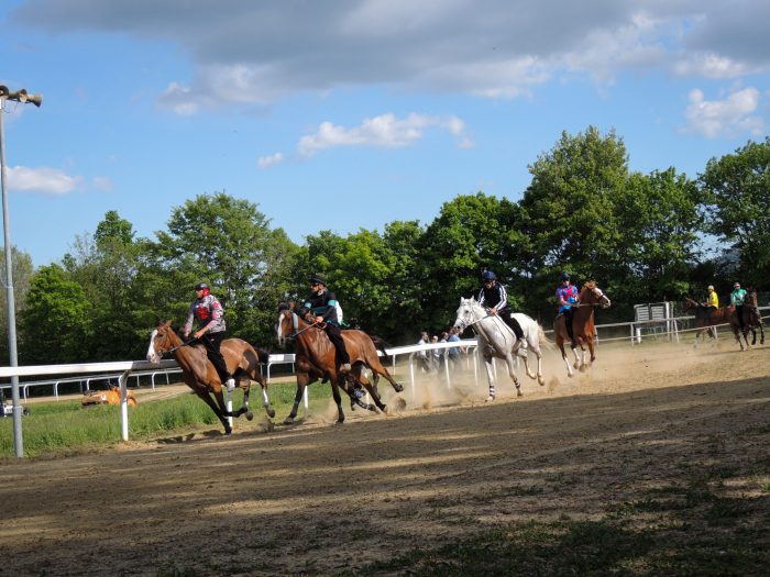 Corse addestramento per il cavalli da Palio, ecco tutti gli appuntamenti