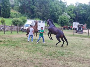 Seconda giornata di previsite - La gallery