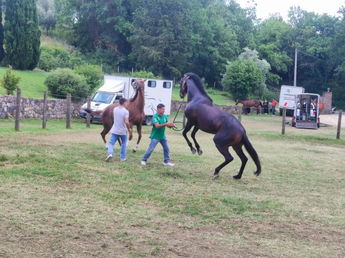 Seconda giornata di previsite - La gallery