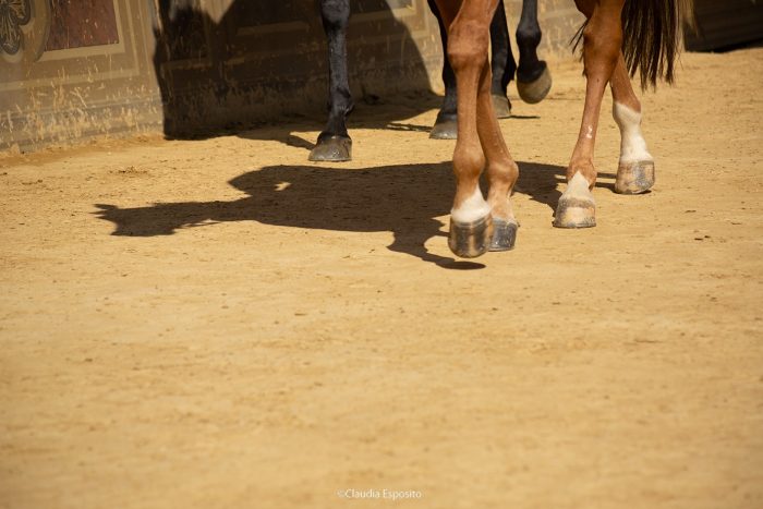 Palio 16 agosto 2023: definito il quadro delle monte, le accoppiate
