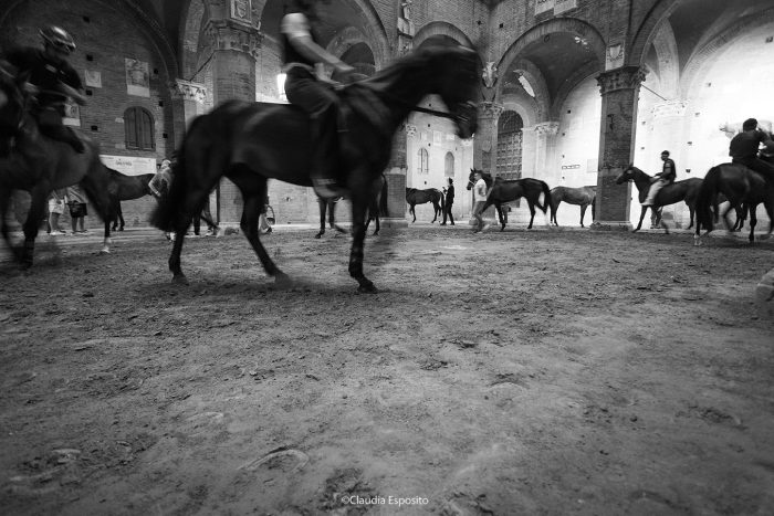 Ecco le batterie per le Prove Regolamentate del Palio di Agosto 2023