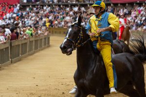 Palio, il giorno dopo. Murtas: "Nella Tartuca grande accoglienza, Contrada bellissima"
