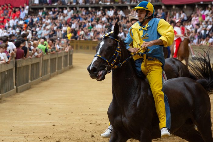 Palio, il giorno dopo. Murtas: "Nella Tartuca grande accoglienza, Contrada bellissima"