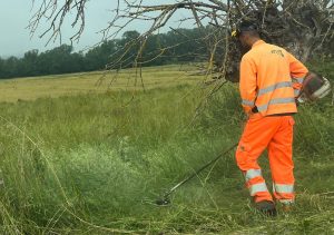Taglio dell&rsquo;erba: il Comune di Siena al lavoro su tutto il territorio