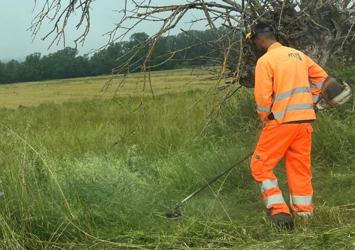 Taglio dell&rsquo;erba: il Comune di Siena al lavoro su tutto il territorio
