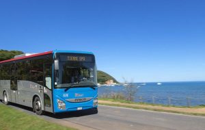 Tiemme, in 20mila hanno viaggiato in autobus  con le Linee Mare