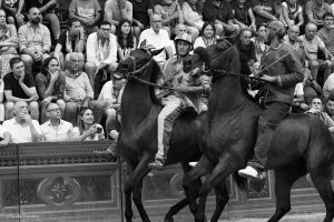 Verso il Palio. La scelta dei cavalli: tutto ruota su tre barberi vincitori