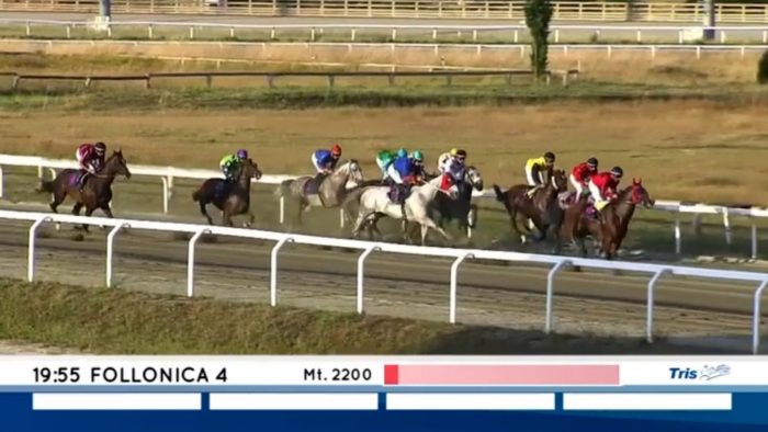 I cavalli dell'Atzeni Team domani in pista a Follonica