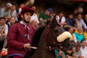 Palio, il giorno dopo. Gingillo: "Cavalli, non capisco la strategia: si toglie a tanti la possibilità di vincere"