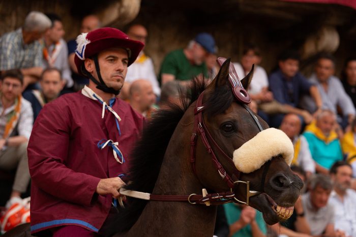 Palio, il giorno dopo. Gingillo: "Cavalli, non capisco la strategia: si toglie a tanti la possibilit&agrave; di vincere"