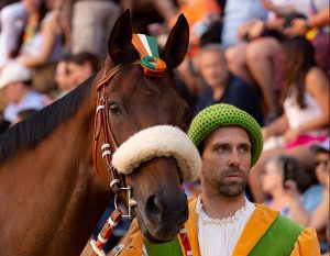 Il Palio della Selva, dall'inizio alla fine - La gallery