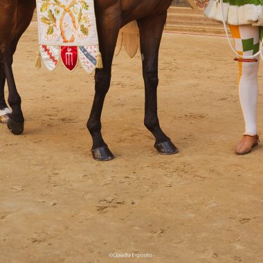 Selva Palio luglio 2023 (11)