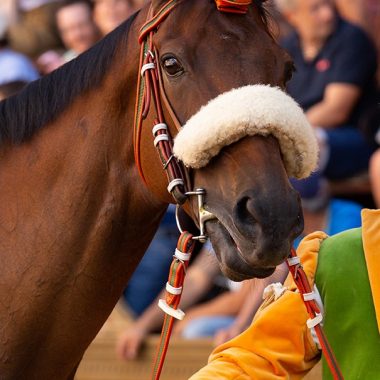 Selva Palio luglio 2023 (9)