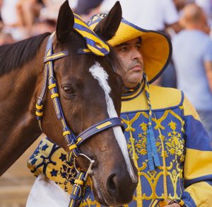Elezioni nella Contrada della Tartuca: si vota il 5, 6 e 7 gennaio