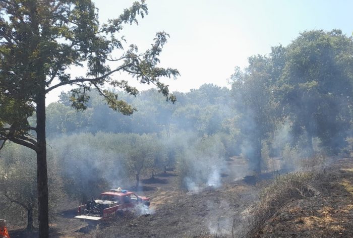 Bruciano sterpaglie a Monteriggioni, salvato il bosco