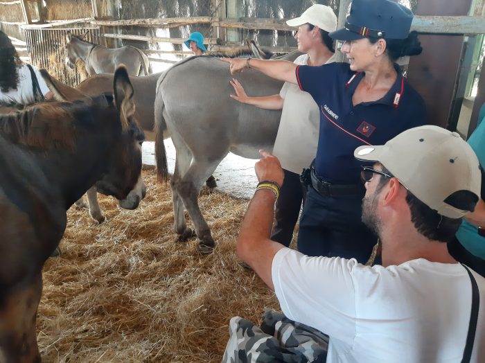 Educazione ambientale, i Carabinieri Forestali ospitano l'associazione "La Casa di Pulcinella" di Roma