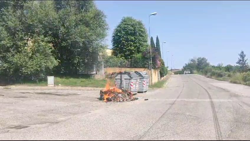 magneti per frigorifero a forma di cactus - Per la casa e per te