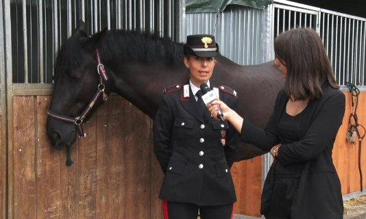 Palio 2 luglio 2023, domani la carica del Drappello dei Carabinieri a cavallo
