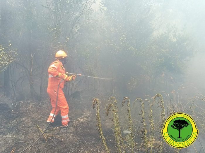Montepulciano, in fiamme un bosco in località Argiano