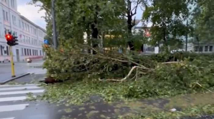 Maltempo: danni, disagi e paura a Milano - La testimonianza