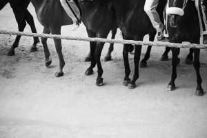 Verso il Palio di agosto: &egrave; gi&agrave; tutto apparecchiato o le strategie sono da decidere?