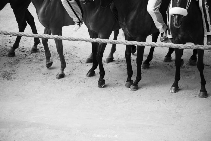 Verso il Palio di agosto: &egrave; gi&agrave; tutto apparecchiato o le strategie sono da decidere?