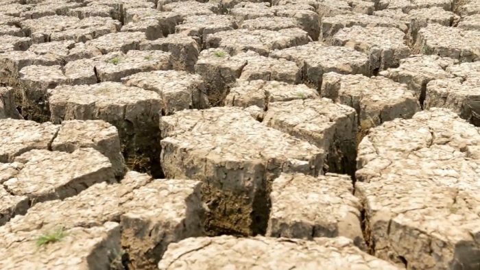 Crisi climatica: ogni singolo cittadino pu&ograve; fare la sua parte. I consigli sulle buone pratiche