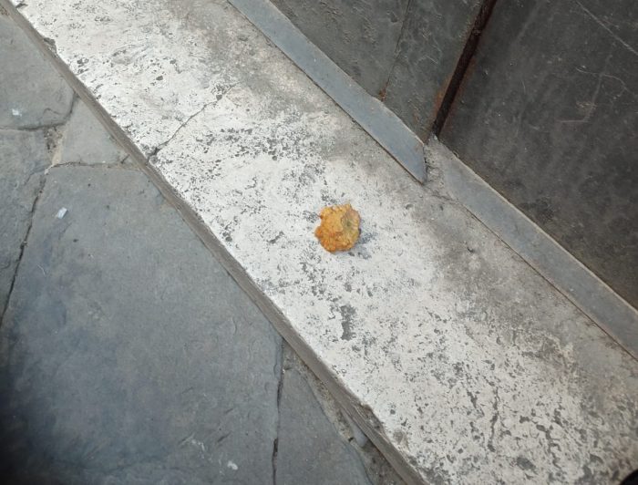 Siena: spugne fritte in Via del Porrione, l'indignazione dei residenti