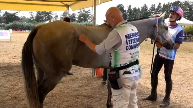 Endurance Grosseto 10