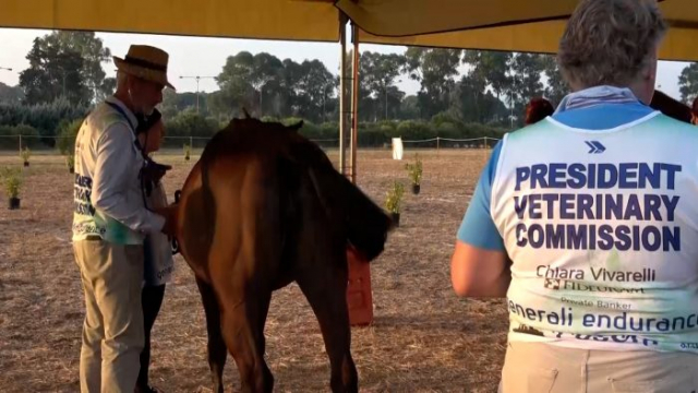 Endurance Grosseto 11