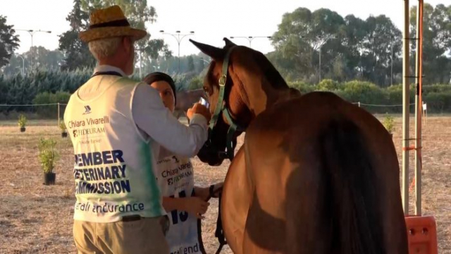 Endurance Grosseto 12