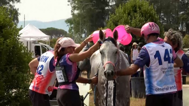 Endurance Grosseto 2