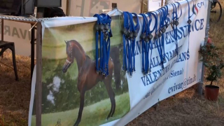 Endurance Grosseto 3