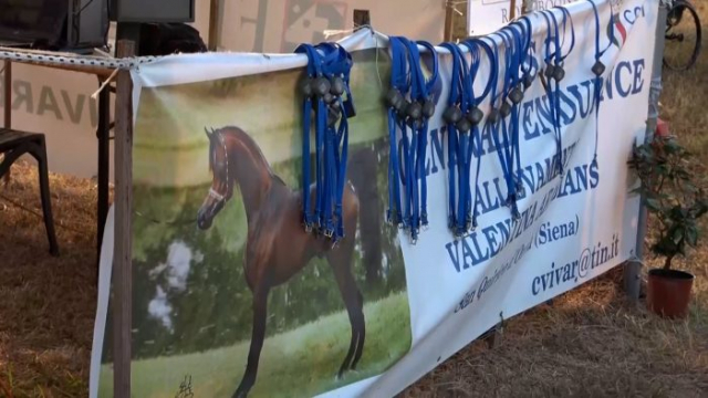 Endurance Grosseto 3