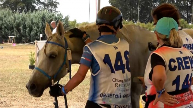 Endurance Grosseto 4