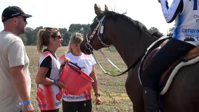 Endurance Grosseto 5