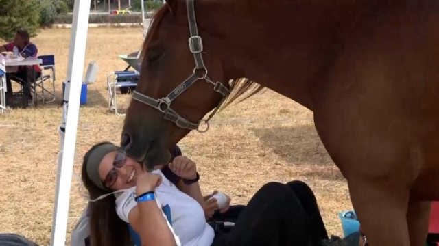 Endurance Grosseto 7