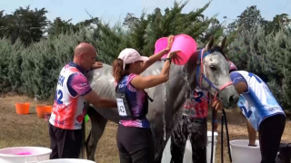 Endurance Grosseto