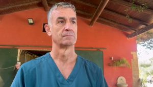 Palio, il veterinario Minniti: "Cavalli in ottime condizioni, addirittura migliori che a luglio"