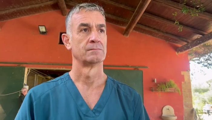 Palii 2024, nominati veterinario comunale e Commissione veterinaria