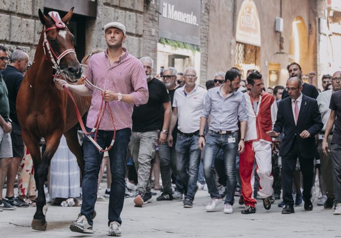 Palio di Siena, a luglio sanzionati 8 esercenti che non hanno liberato la strada al passaggio dei cavalli