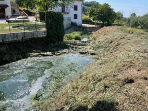 Rapolano: intervento Consorzio Bonifica per rimuovere vegetazione infestante e arbusti nel borro Ripi