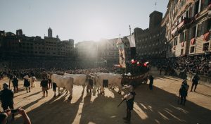 Il corteo storico del Palio di agosto 2023 - La gallery