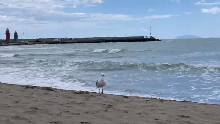 Vacanze: senesi al mare nonostante il maltempo