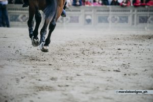 Palio dell'Assunta 2023: prove regolamentate del 12 agosto, la gallery