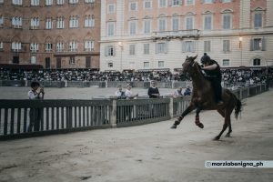 Palio di Siena, il programma delle prove regolamentate