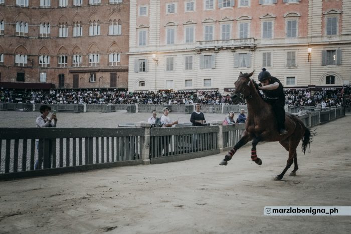 Palio di Siena, il programma delle prove regolamentate
