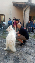 evento 1