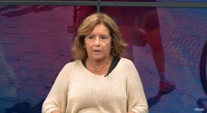 Lupi alle porte di Siena, Comune lavora a un piano di contenimento