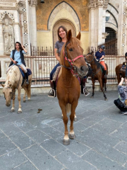 cavalli in piazza